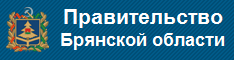 Правительство брянской области